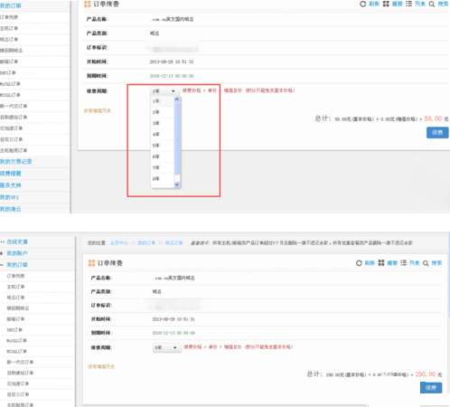 選擇續(xù)費(fèi)年限并進(jìn)行支付